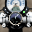 BEELINE MOTO II-1