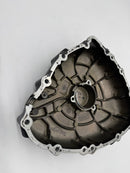 USED Alternator Cover, Black - T1261957-8